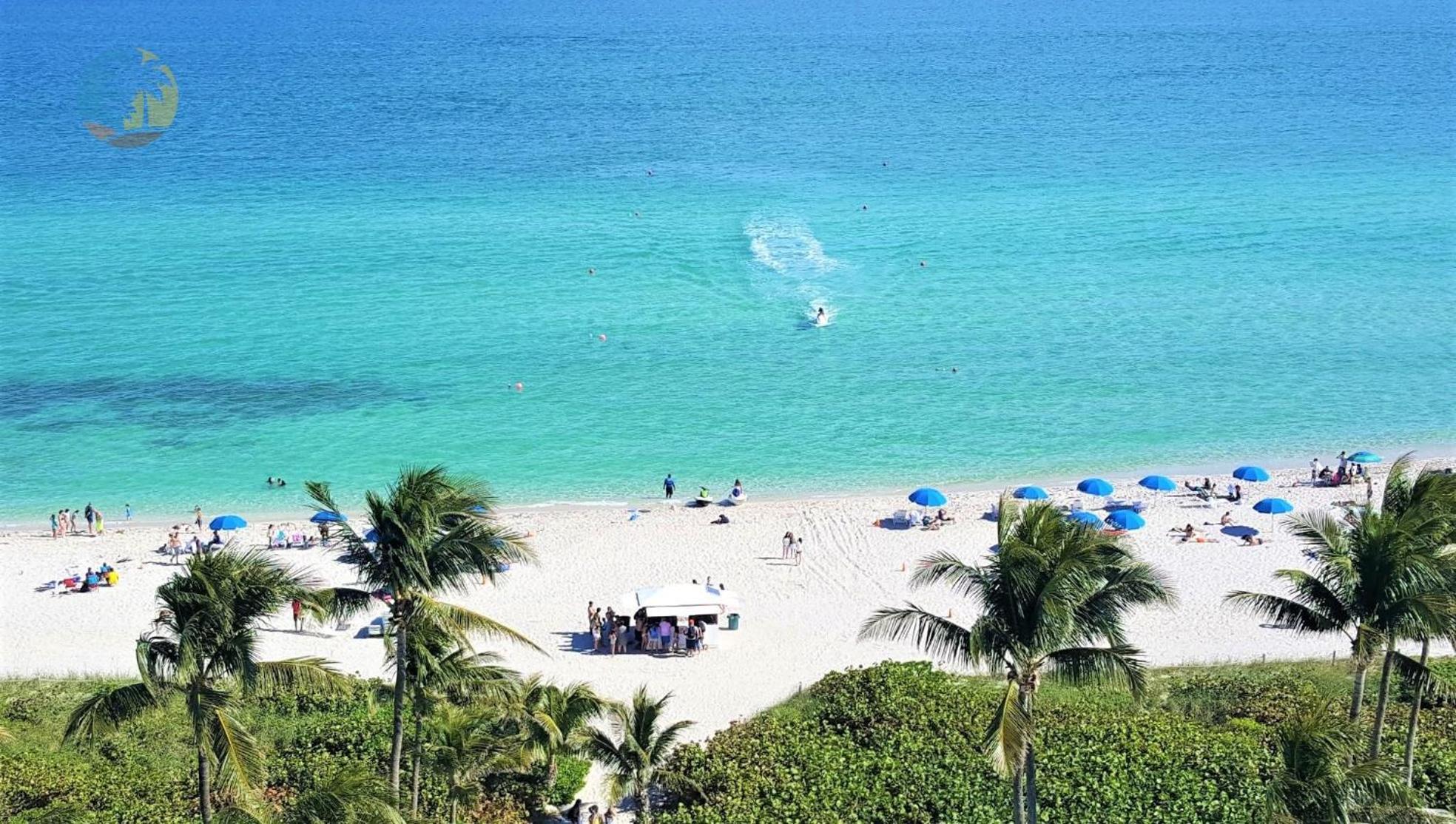 Deluxe Beach Resort - Hora Rentals Miami Beach Eksteriør billede